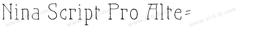 Nina Script Pro Alte字体转换
